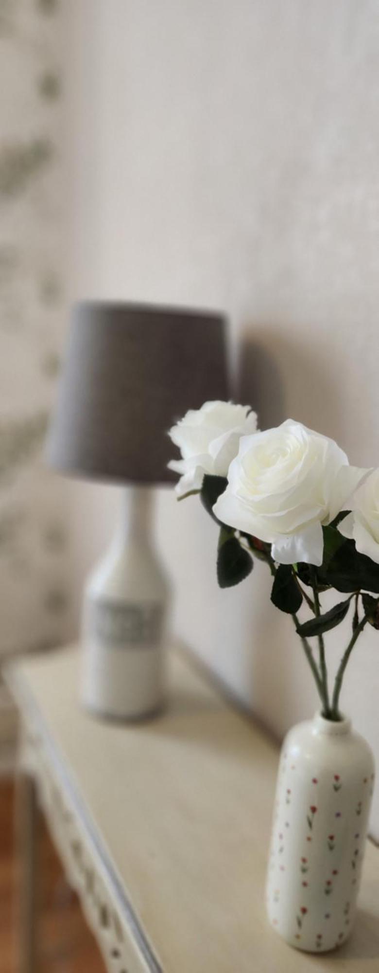 Les Hortensias Blancs Studio Amiens Zewnętrze zdjęcie