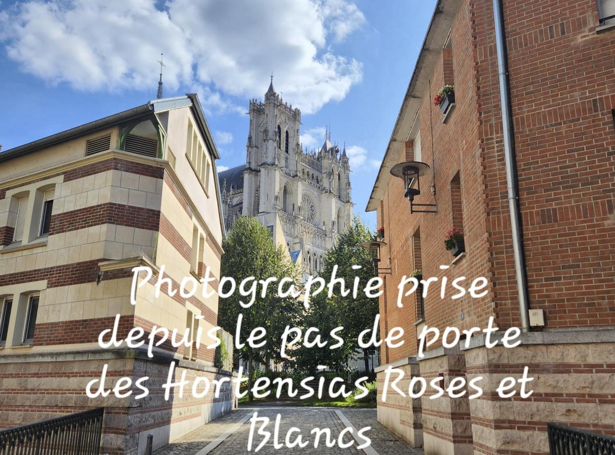 Les Hortensias Blancs Studio Amiens Zewnętrze zdjęcie